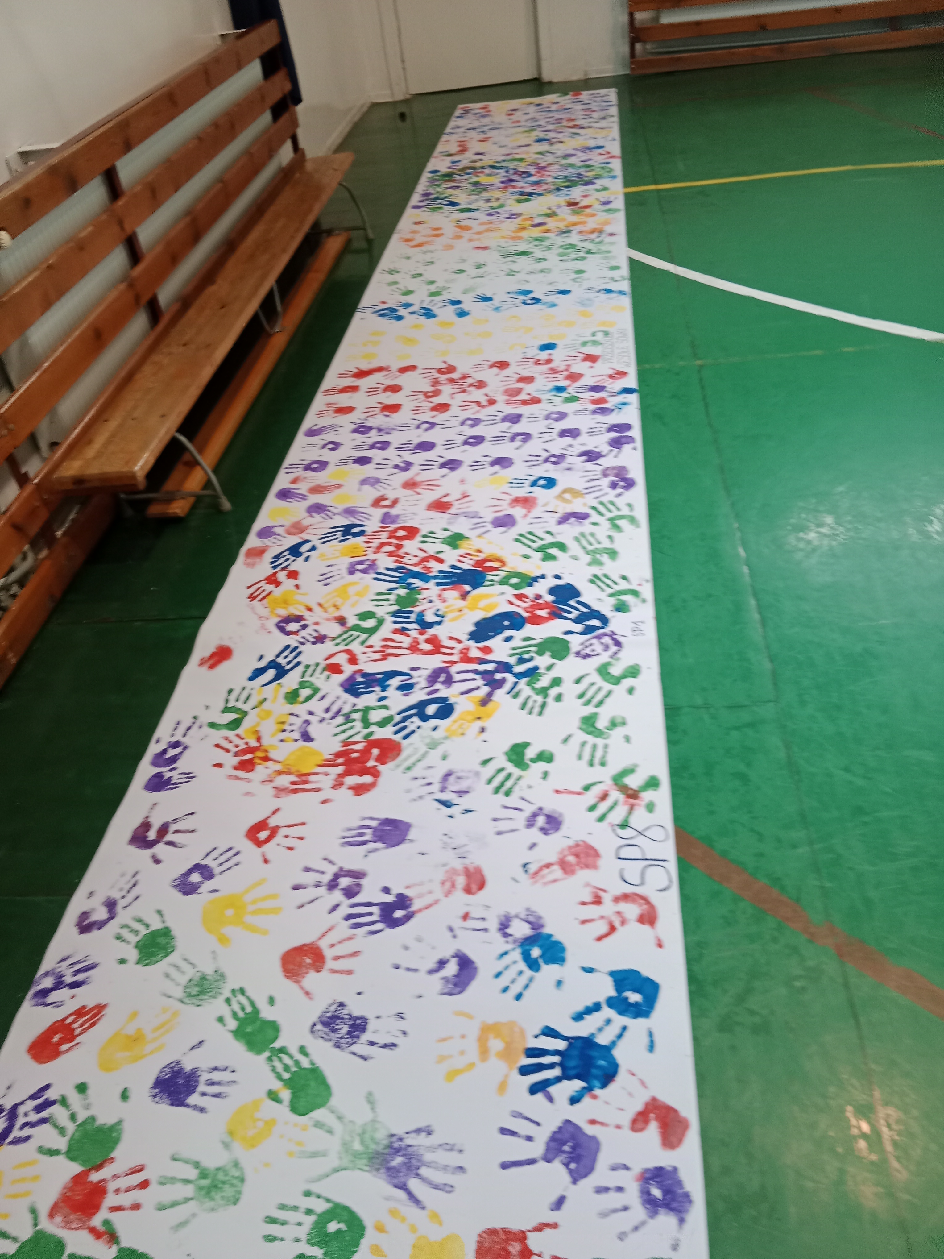 IMG_20251117_094913.jpg (2.51 MB)