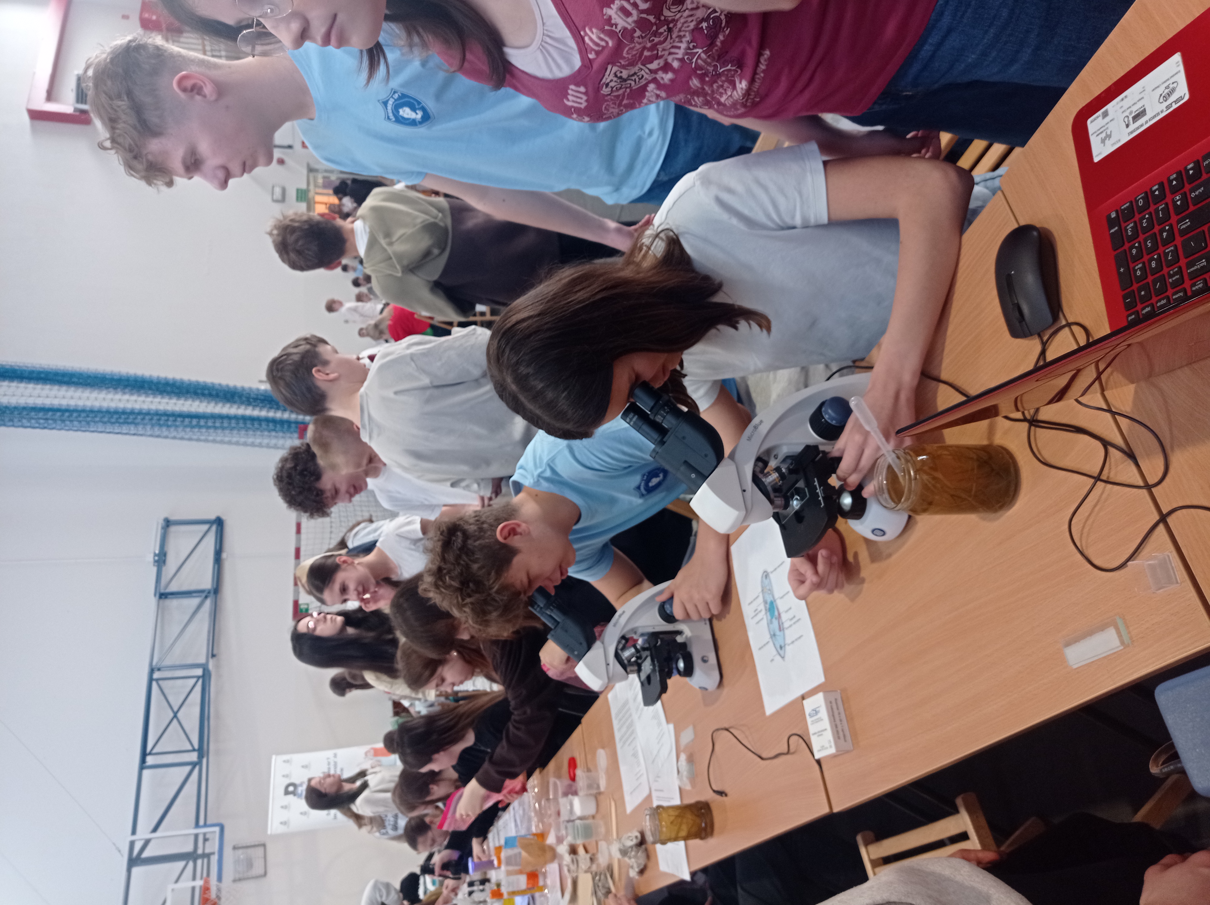 IMG_20260417_094412.jpg (3.74 MB)