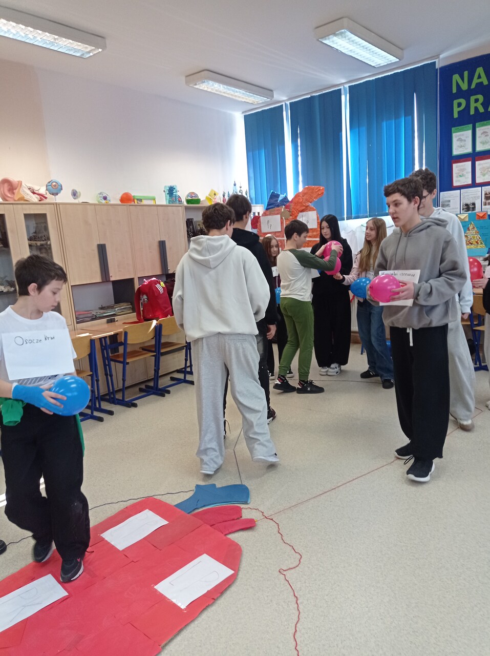 Ikona do artykułu: Biologia w ruchu! Jak nasi siódmoklasiści „stali się” układem krwionośnym.